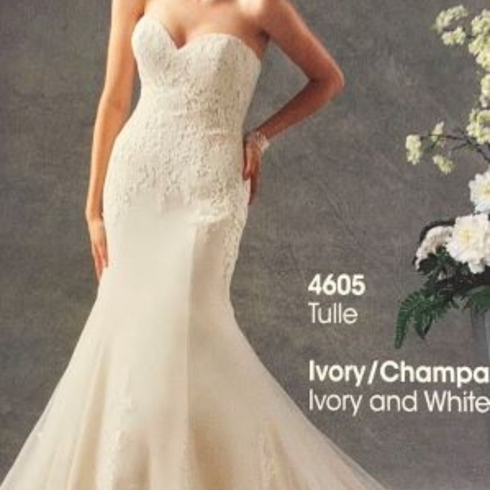 Plus size wedding dress